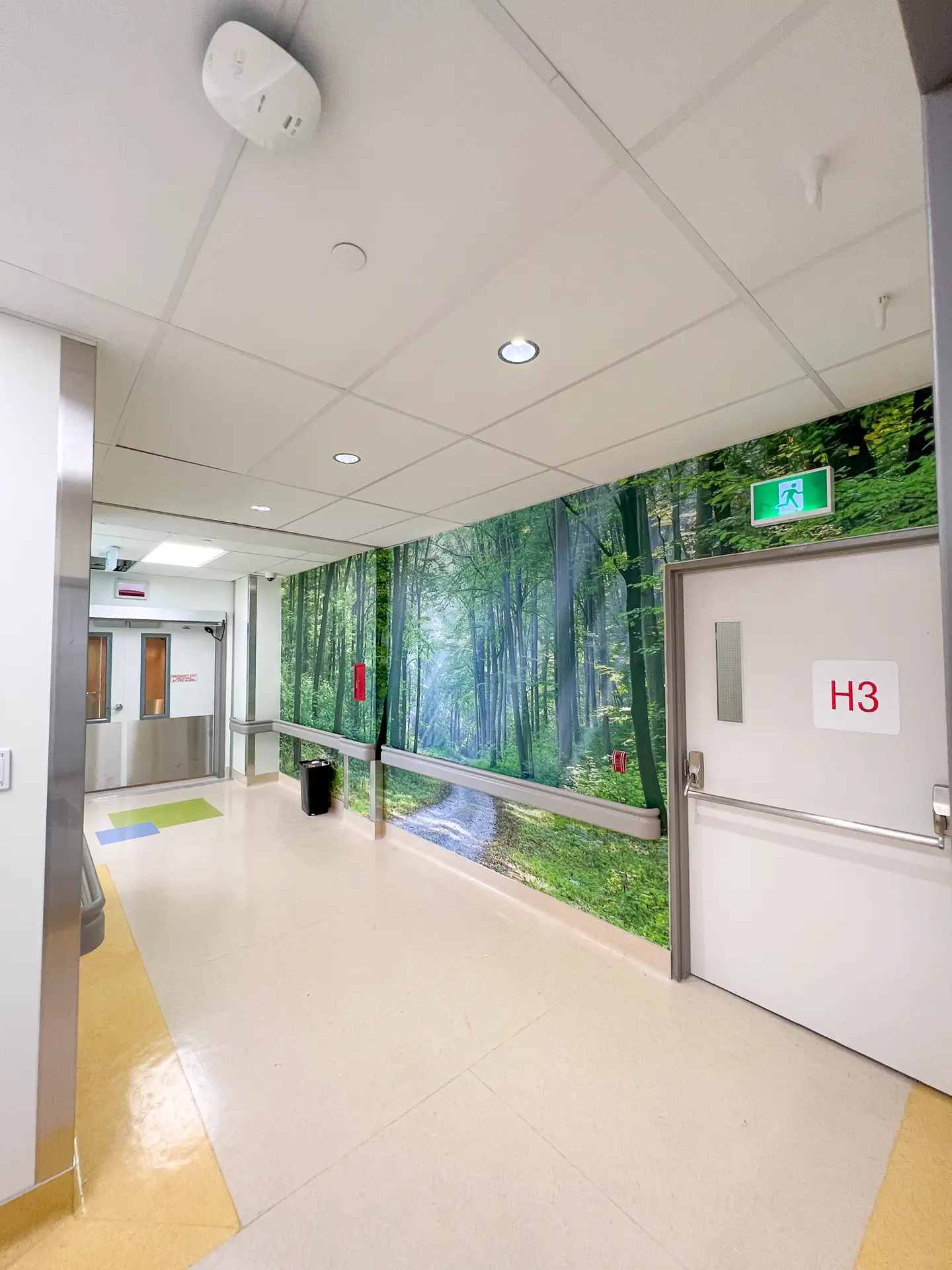 CHEO-IR-LAB-3