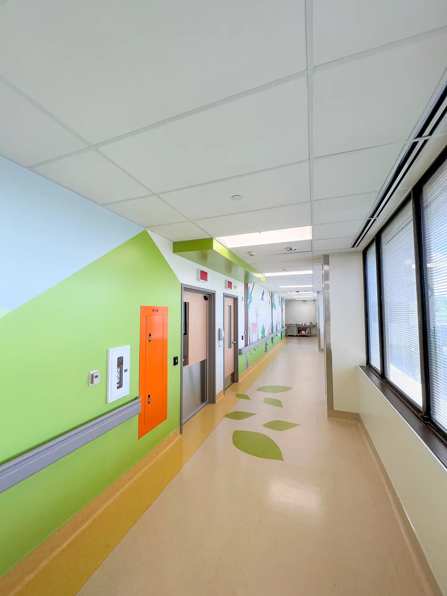 CHEO-IR-LAB-6