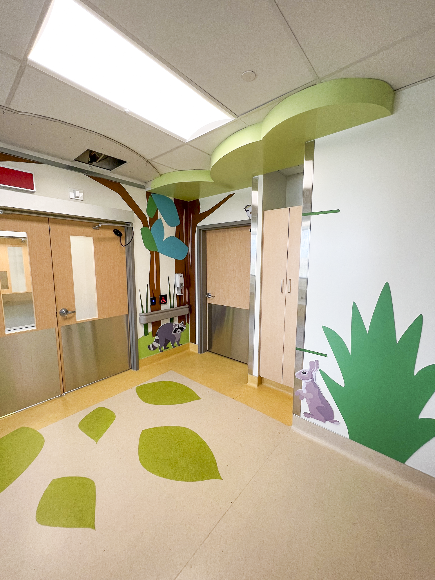 CHEO-IR-LAB